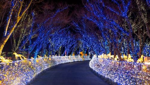 Realistic Image Quality